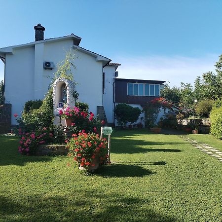 ויטרבו B&B Le Cinque Querce מראה חיצוני תמונה