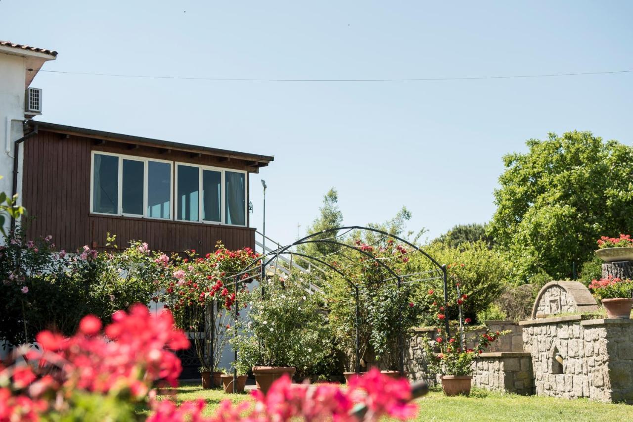 ויטרבו B&B Le Cinque Querce מראה חיצוני תמונה