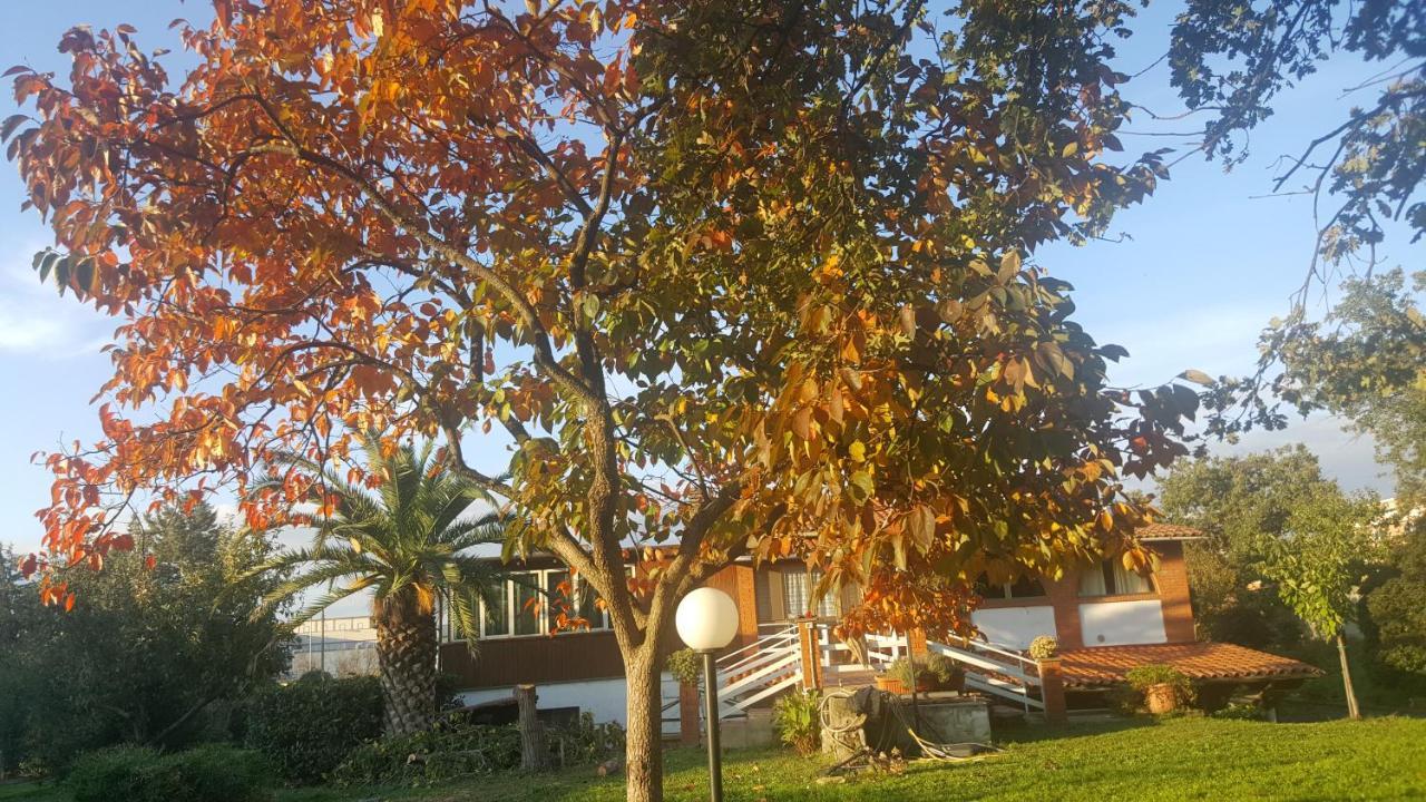 ויטרבו B&B Le Cinque Querce מראה חיצוני תמונה