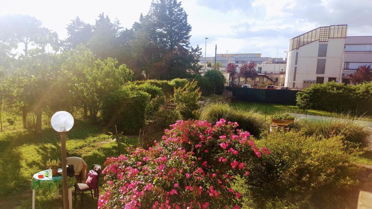 ויטרבו B&B Le Cinque Querce מראה חיצוני תמונה