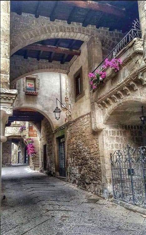 ויטרבו B&B Le Cinque Querce מראה חיצוני תמונה