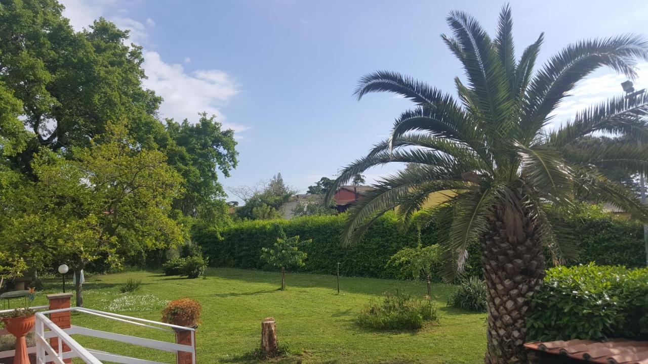 ויטרבו B&B Le Cinque Querce מראה חיצוני תמונה